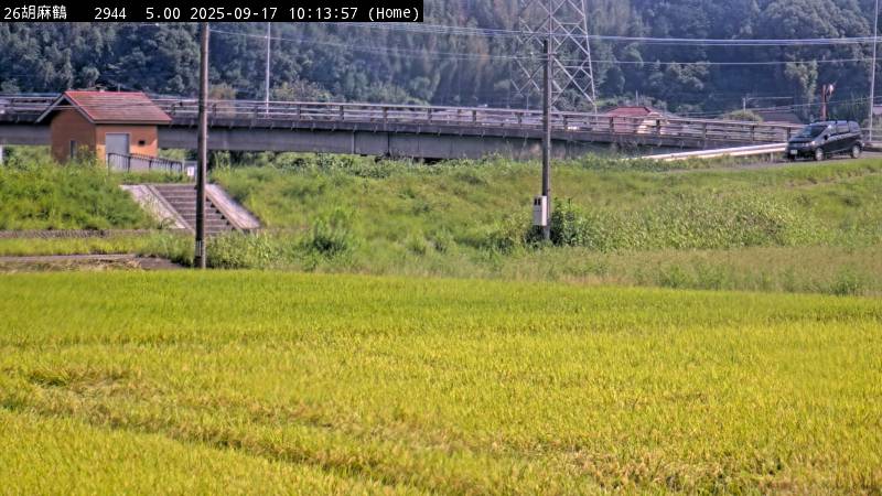 胡麻鶴 内稙田樋管